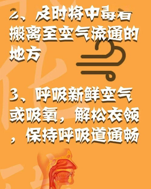消防安全心中記，平平安安過(guò)大年——系列三：消防安全全攻略